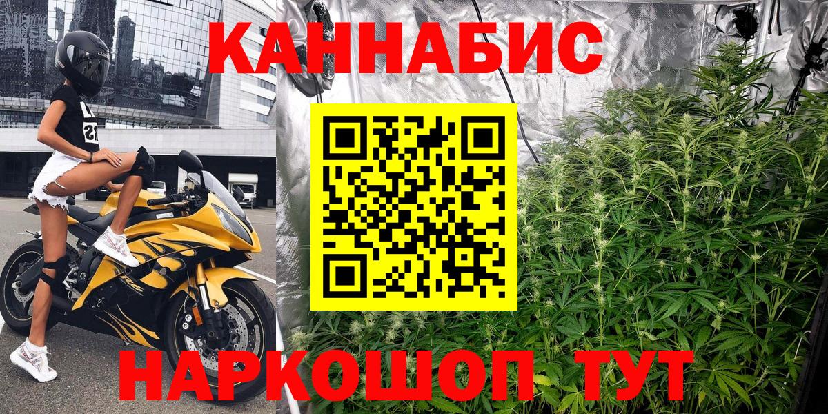 Канабис сатива Славгород
